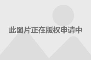 玩法‖30分钟漫游，杨浦滨江观光游览车正式投入使用