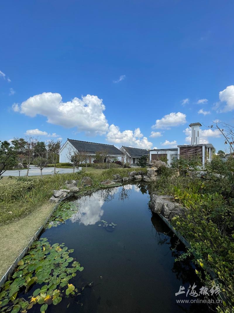 上海人少景美的好去处南翔水生态公园