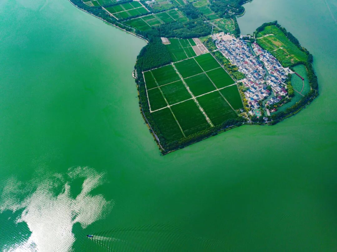 蔡浜村-淀山湖 (2).JPG