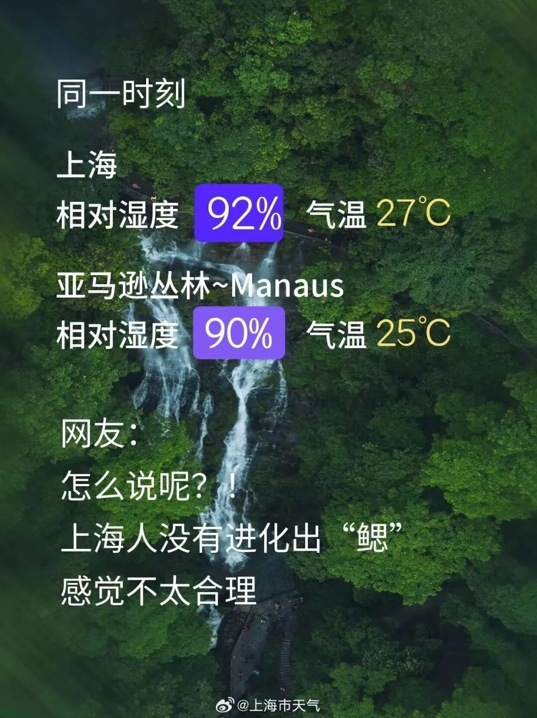 https://sghimages.shobserver.cn/img/sgh/20260622/XXEJcQ0nRg/773cc1122c5742faa21cd9b2bffc2eaa.jpg